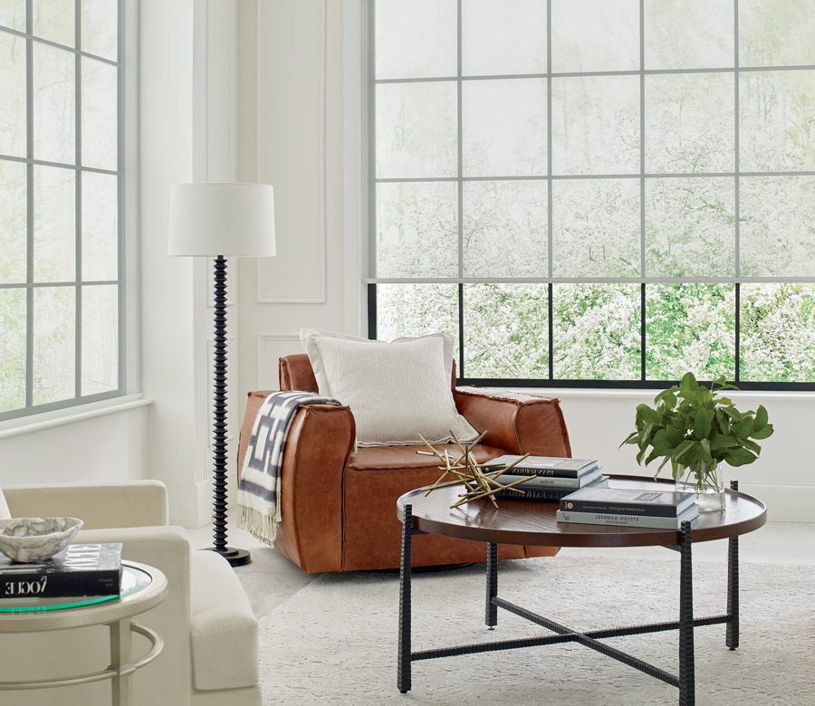 modern roller shades in Cleveland OH home