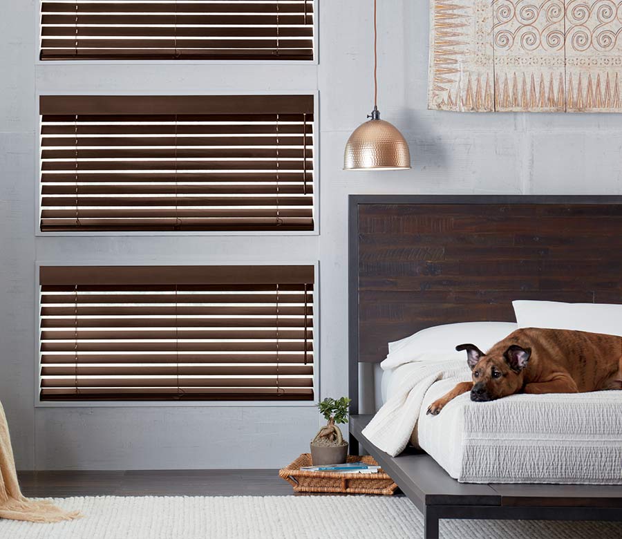 master bedroom with dog and Hunter Douglas parkland wood blinds Chagrin Falls