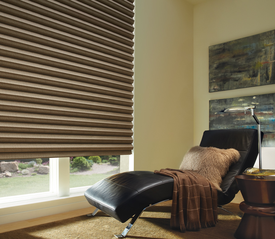 black leather chair and brown and solera roman shades
