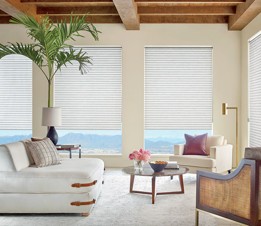 living room with neutral look sonnette cellular shades cleveland