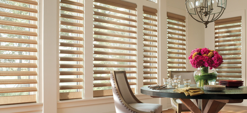Hunter Douglas Window Shades Cleveland by Timan Custom Window Treatments