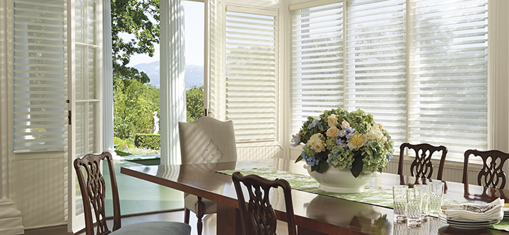 french door shades silhouette Chagrin falls 44022