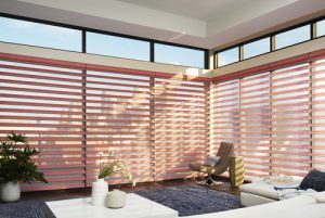 make your house a home motorized features