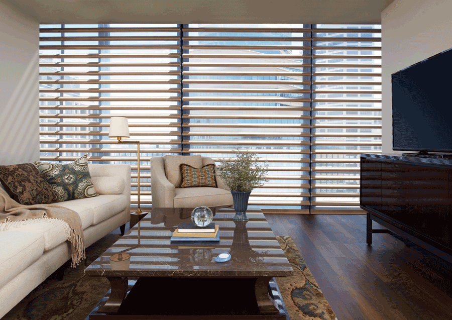 cover floor to ceiling windows for style Hunter Douglas Chagrin Falls 44022