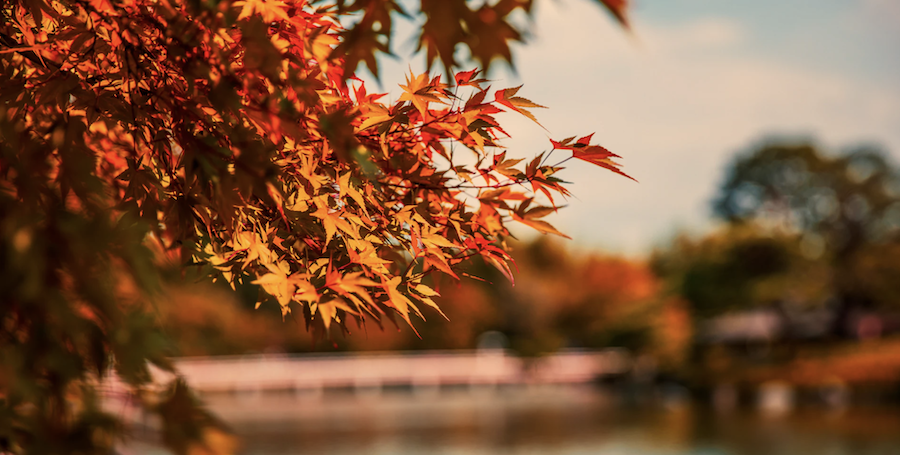 changing season options to think about in Cleveland, Ohio