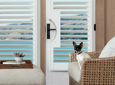 best shutters for doors with door handle cutouts Cleveland OH