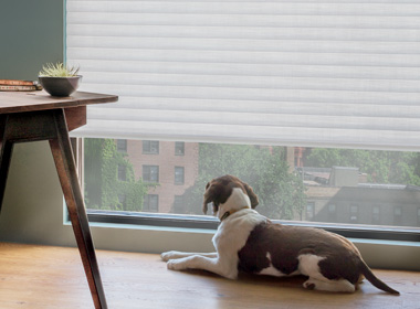sonnette cellular roller shades for large windows Chagrin Falls OH