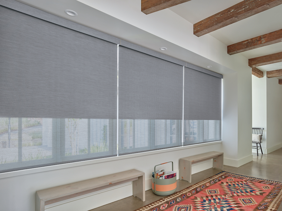 Living room Designer Roller Shades with Duolite®