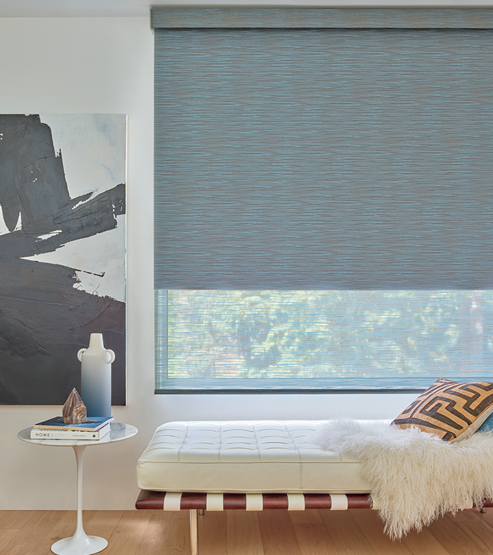 designer screen roller shades with secondary blackout shades Cleveland OH