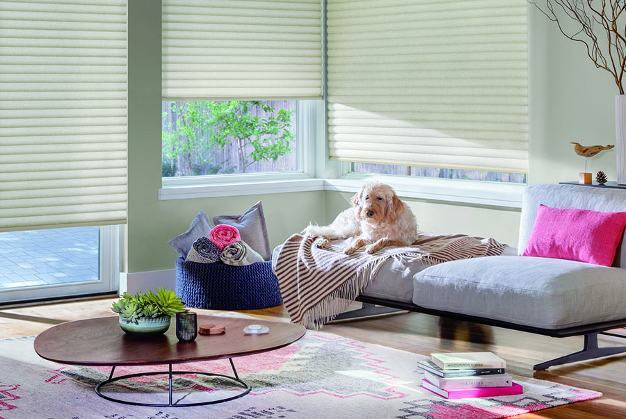 cellular roller shades for pet's sunny spot in Chagrin Falls OH