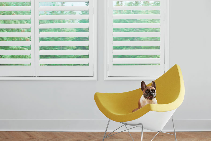 Interior shutters for pet safe option