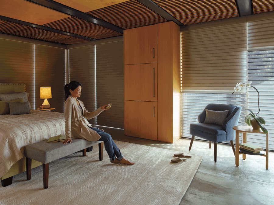 smart shades controlled with remote