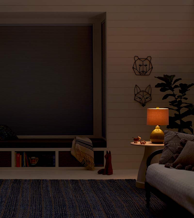 blackout shade in living room entertainment room in Cleveland, OH