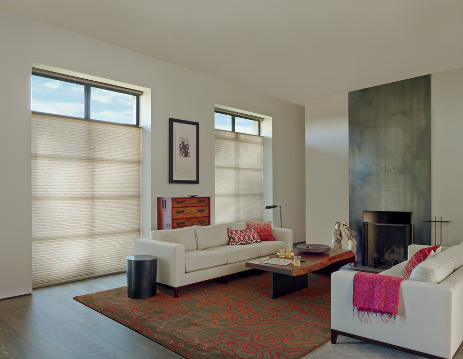 windows with black trim covered with honeycomb shades in Rocky River OH