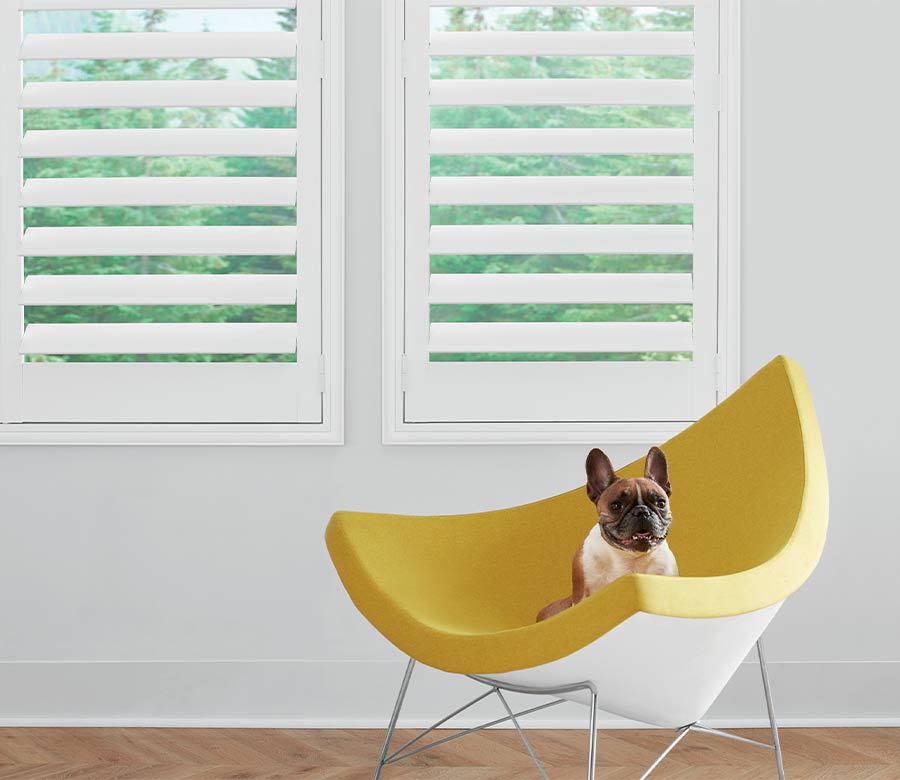pet friendly interior white shutters Cleveland, OH