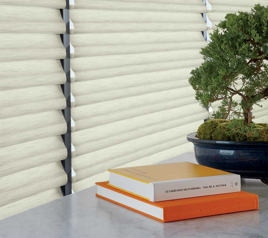 Detail of cream vignette roman shades