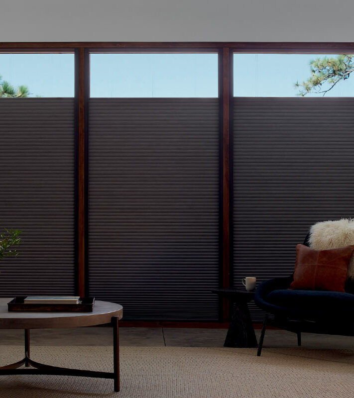dark colored top-down bottom-up shades in modern living room