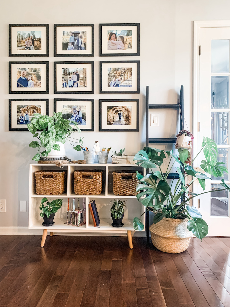 gallery wall in room with plants