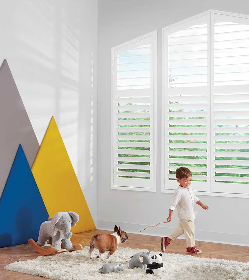 dog chasing boy in playroom with white wood shutters in Rocky River, OH