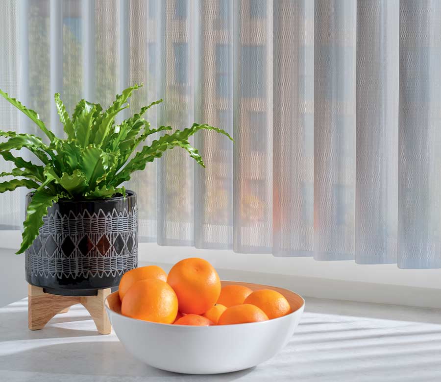 Sheer gray window shades next to potted house plant and oranges in Chagrin Falls, OH