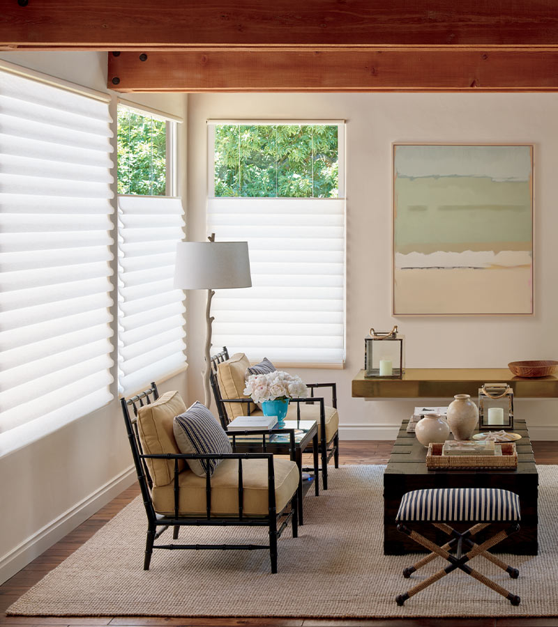 soft fabric shades with top down bottom up functionality Chagrin Falls, OH
