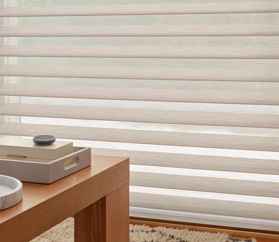 View through window shades with black remote to control them