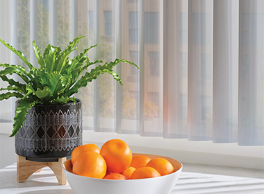 vertical blinds next to plant and bowl of oranges