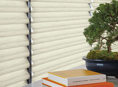 soft fabric roman shades for privacy and light control.