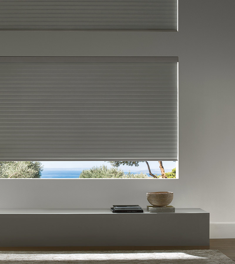 energy efficient solar shades with blackout options overlooking lush outdoor space