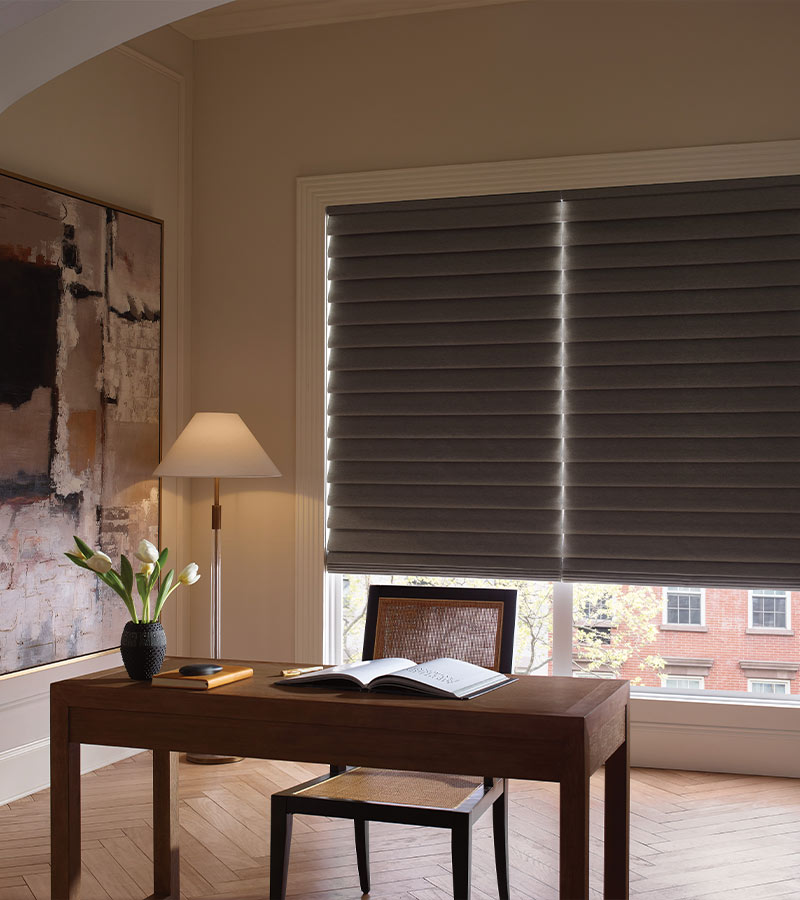 blackout shade by hunter douglas in modern home office chagrin falls, Ohio