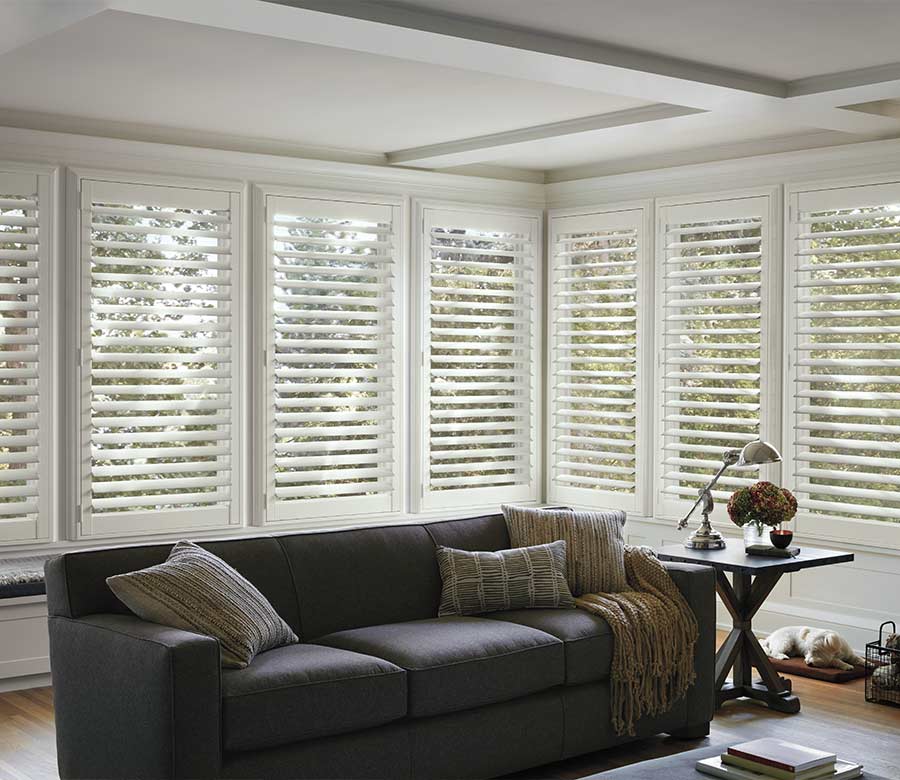 interior shutters for living room with brown couch and sleeping dog