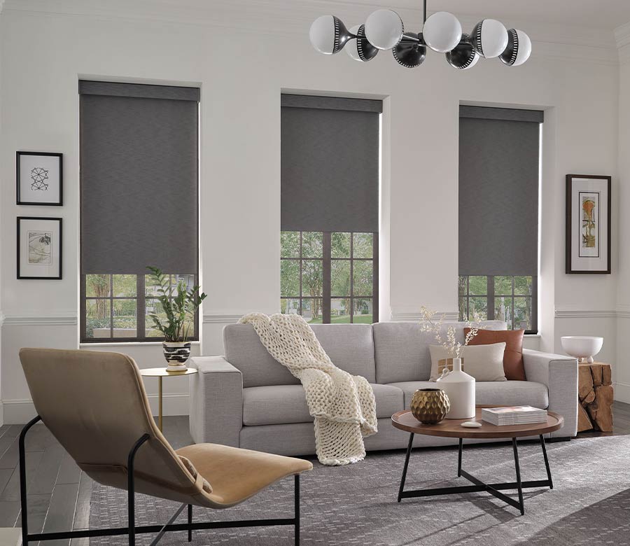gray dual shade shadings in neutral living room with chromatic elements