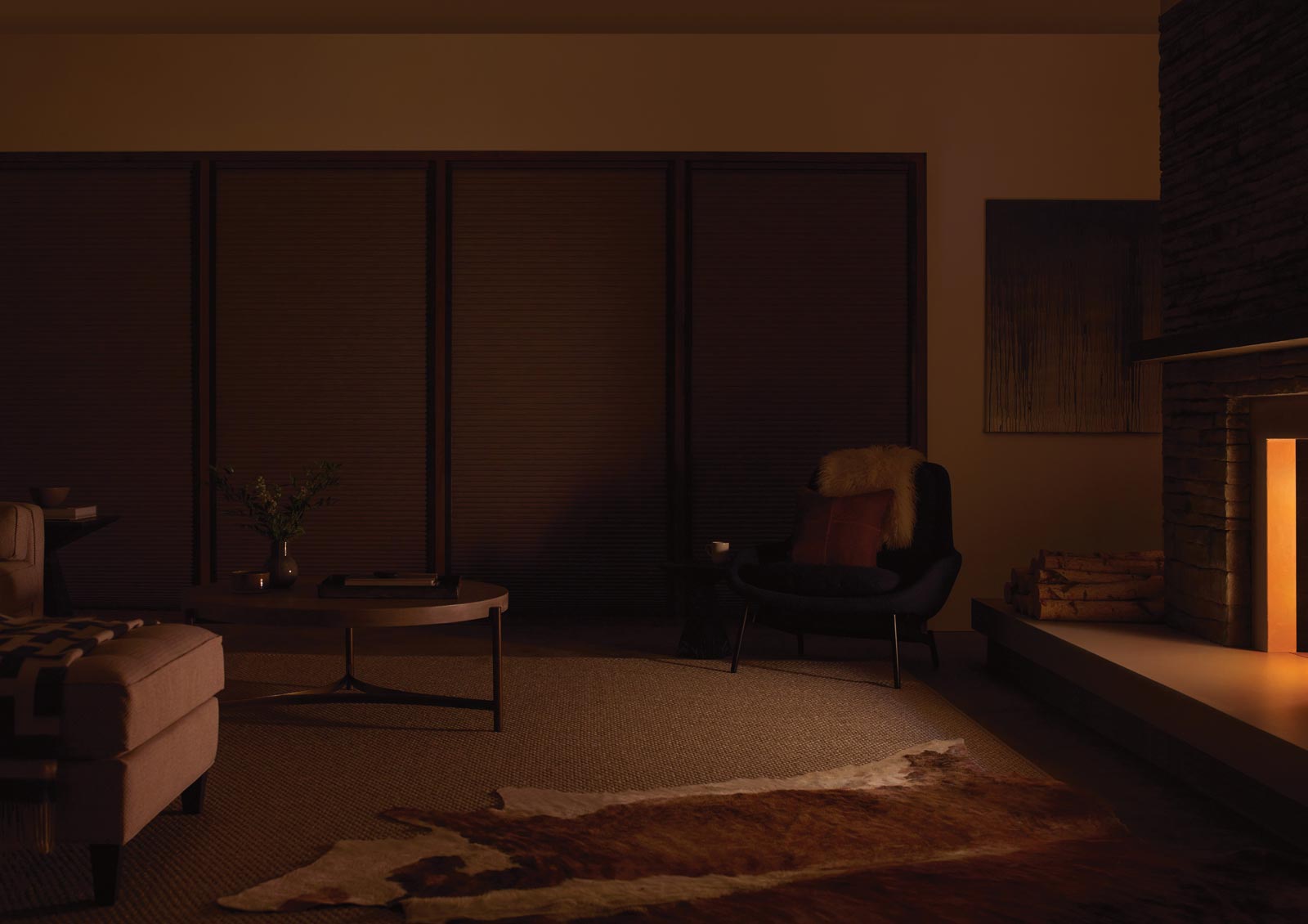 blackout shades for living room