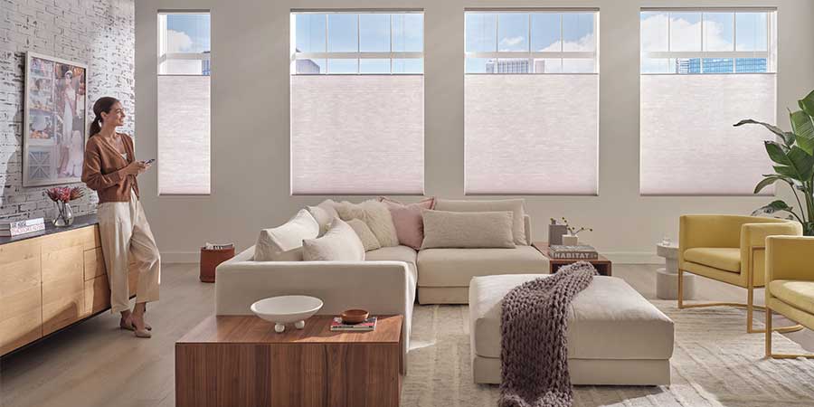 living room with top down bottom up shades