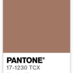 mocha mousse swatch pantone color of the year 2025